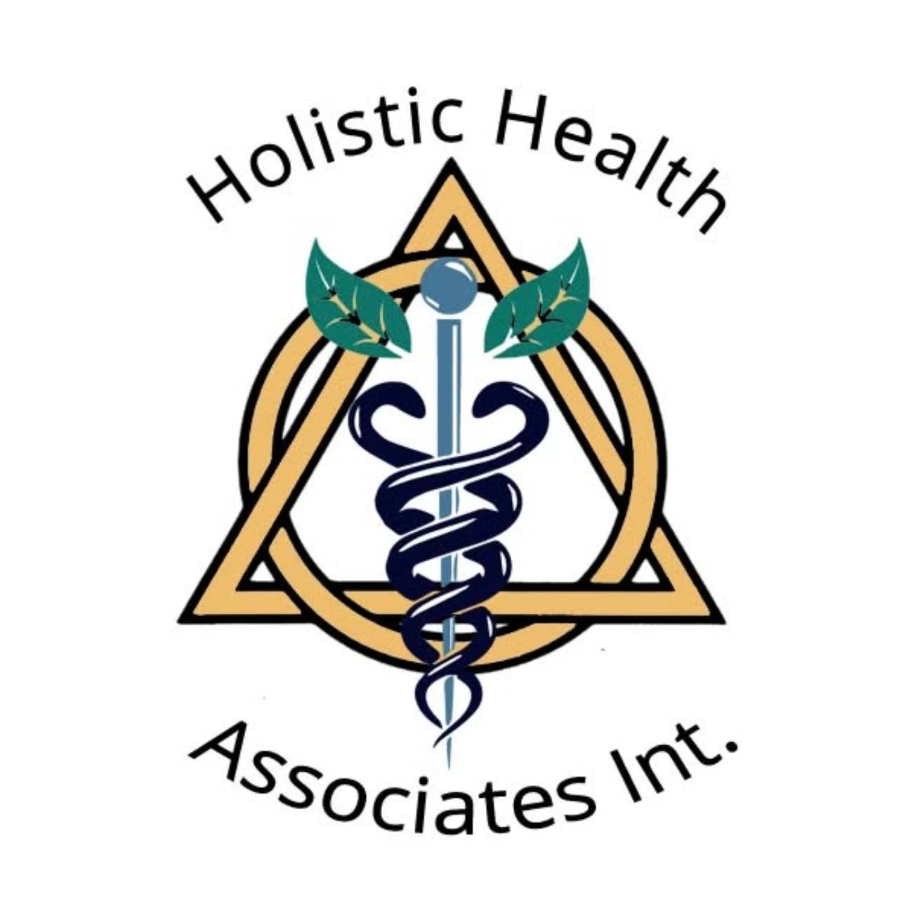 Holistic Health Associates International